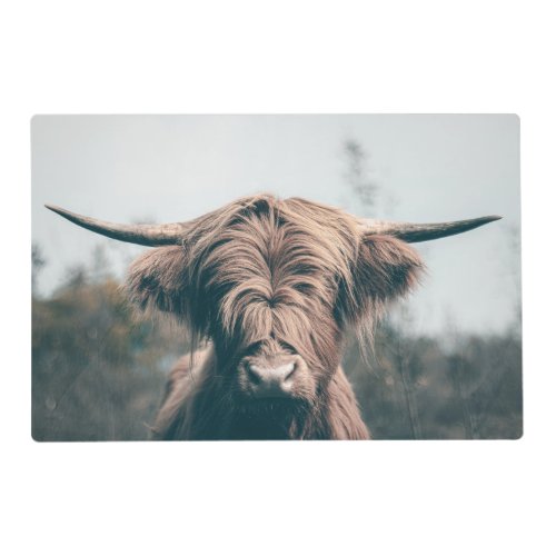 Highland cow portrait placemat