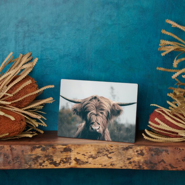 Highland cow portrait plaque (Side)