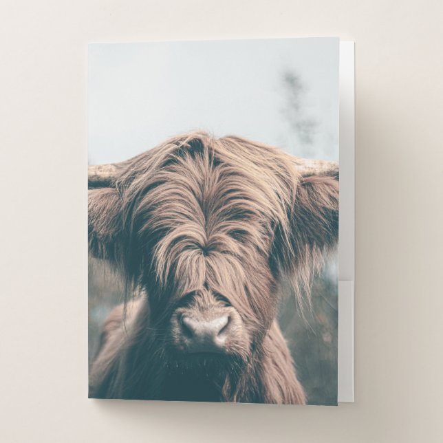 Highland cow portrait pocket folder (Front)