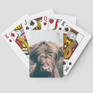 Highland cow portrait poker cards