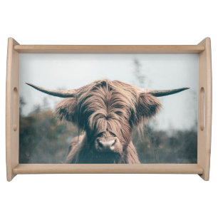 Highland cow portrait serving tray