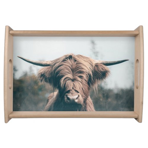 Highland cow portrait serving tray