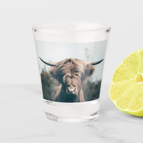 Highland cow portrait shot glass