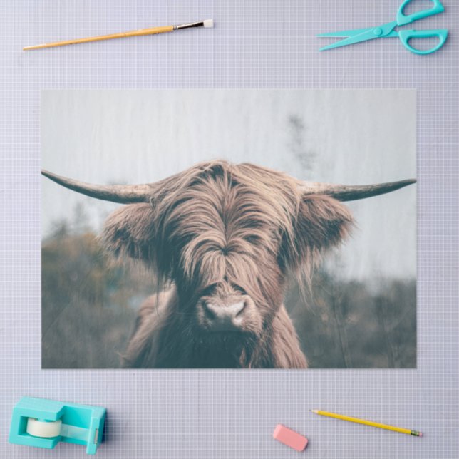 Highland cow portrait tissue paper (Craft)