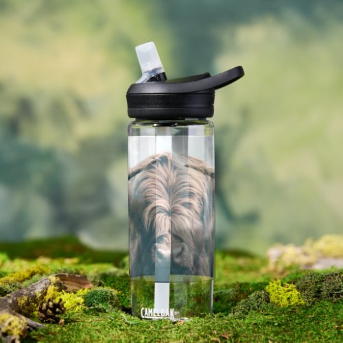 Highland cow portrait water bottle