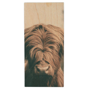 Highland cow portrait wood flash drive