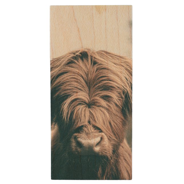 Highland cow portrait wood flash drive (Front Vertical)