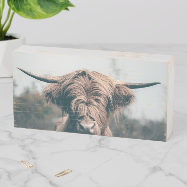 Highland cow portrait wooden box sign (In Situ Horizontal)