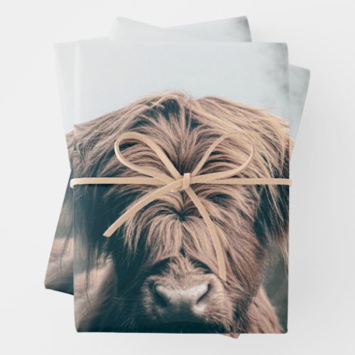 Highland cow portrait wrapping paper sheets