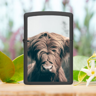 Highland cow portrait zippo lighter