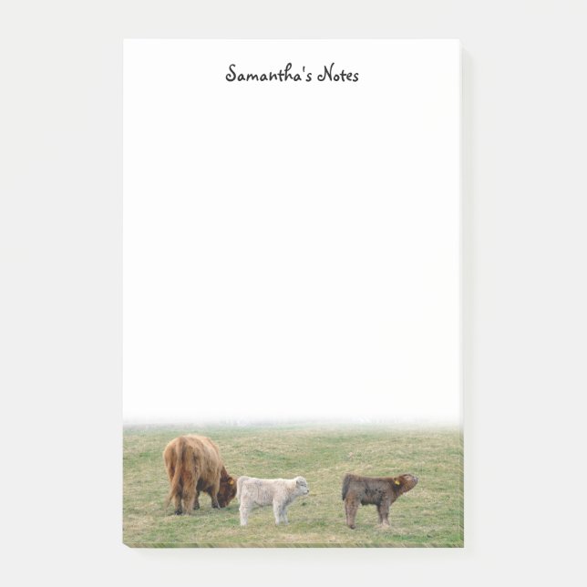 Highland Cow Post-It Notes (Front)