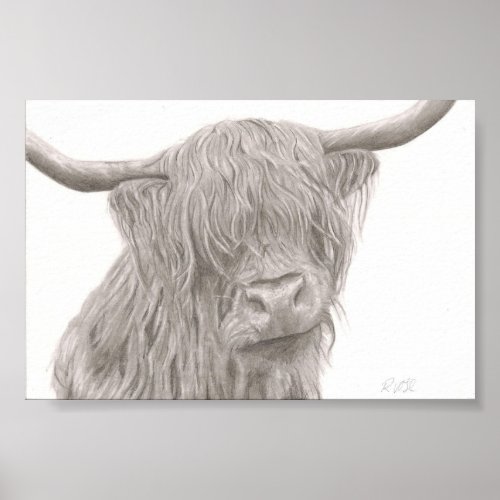 Highland Cow Poster