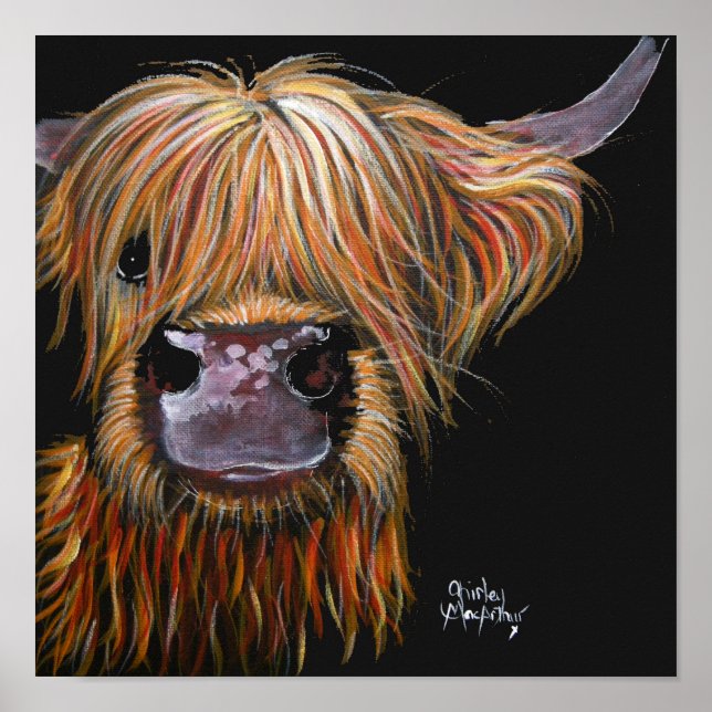 HiGHLaND CoW PRiNT "HeNRY' BY SHiRLeY MacARTHuR (Front)