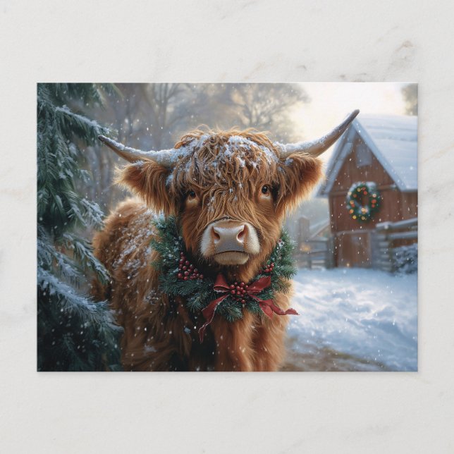 Highland Cow Rustic Barnyard Christmas Postcard (Front)