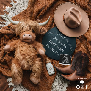 Highland Cow Rustic farm pregnancy announcement