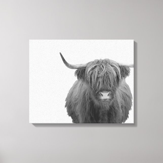 Highland Cow Scotland Rustic Black White  Canvas Print (Front)