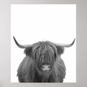 Highland Cow Scotland Rustic Black White Poster