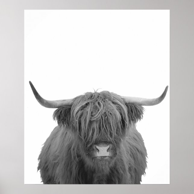 Highland Cow Scotland Rustic Black White Poster (Front)