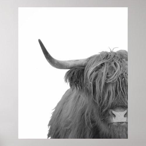 Highland Cow Scotland Rustic Black White Poster