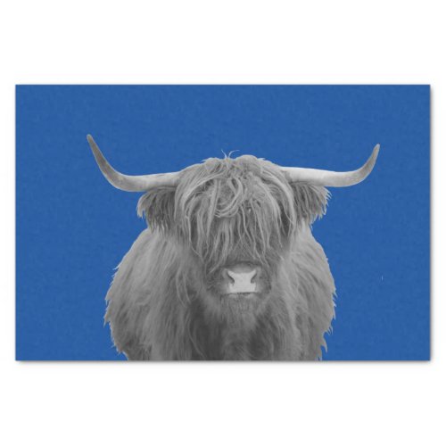 Highland Cow Scotland Rustic Black White  Tissue P Tissue Paper