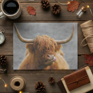 Highland Cow Scotland Rustic Black White Tissue Paper
