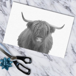 Highland Cow Scotland Rustic Black White  Tissue Paper