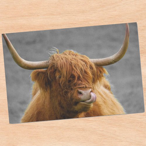 Highland Cow Scotland Rustic Black White   Tissue Paper