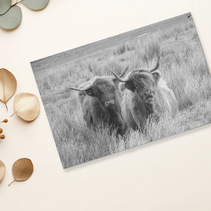 Highland Cow Scotland Rustic Black White   Tissue  Paper