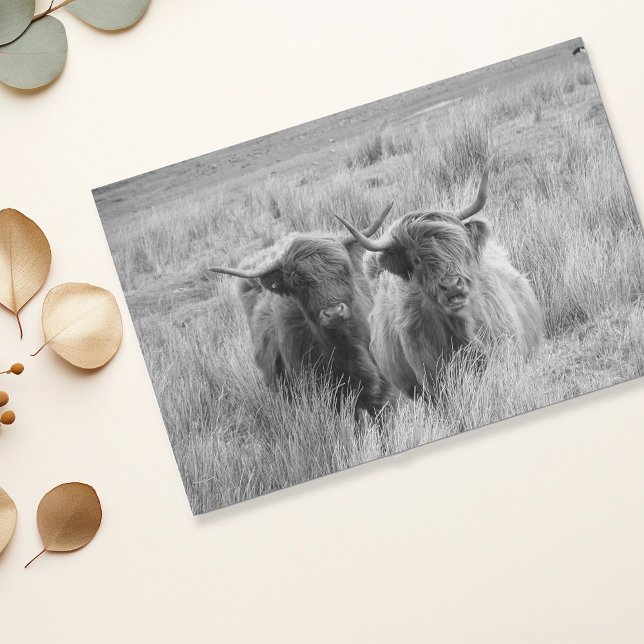 Highland Cow Scotland Rustic Black White   Tissue  Paper (Creator Uploaded)