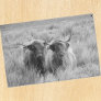 Highland Cow Scotland Rustic Black White   Tissue  Tissue Paper