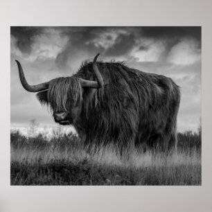 Highland Cow Scotland Rustic Brown monotone Post Poster