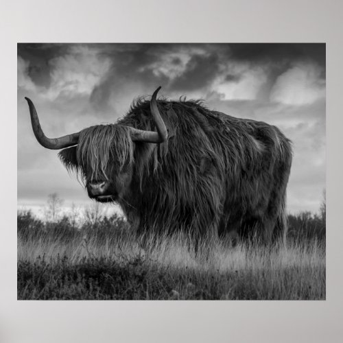  Highland Cow Scotland Rustic Brown monotone  Post Poster