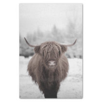 Highland Cow Scotland Rustic  Tissue Paper