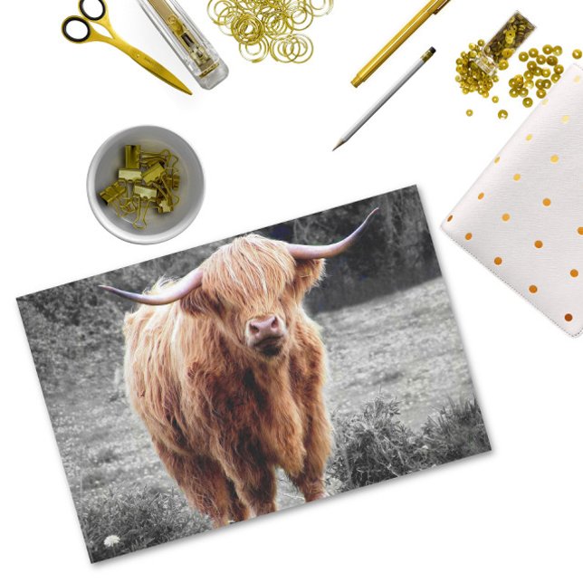 Highland Cow Scotland Rustic  Tissue Paper (Creator Uploaded)