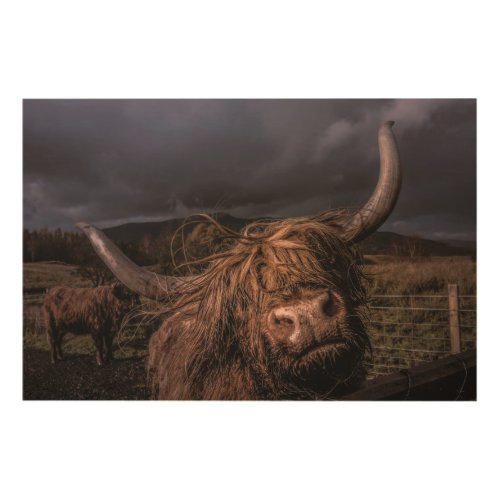 HIGHLAND COW SCOTLAND WOOD WALL ART