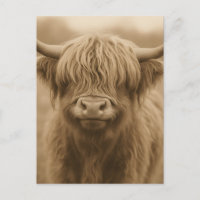 Highland Cow Sepia Portrait