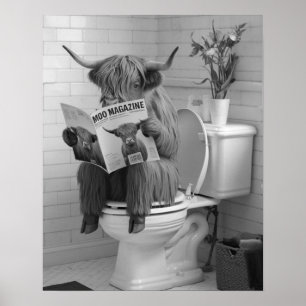 Highland Cow Sitting on Toilet Reading Bathroom Poster