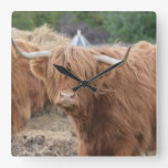 Highland Cow Square Wall Clock