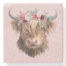 Highland Cow 