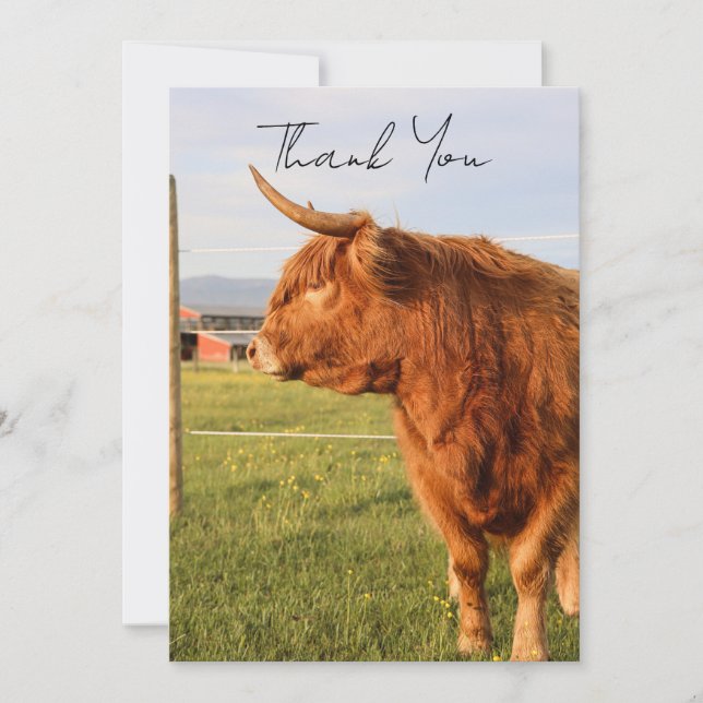 Highland Cow Thank You Card (Front)