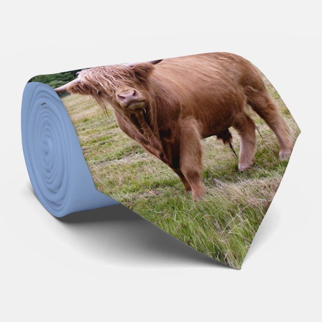 Highland Cow Tie (Rolled)