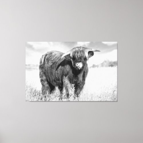 Highland cow tongue lick black and white canvas print