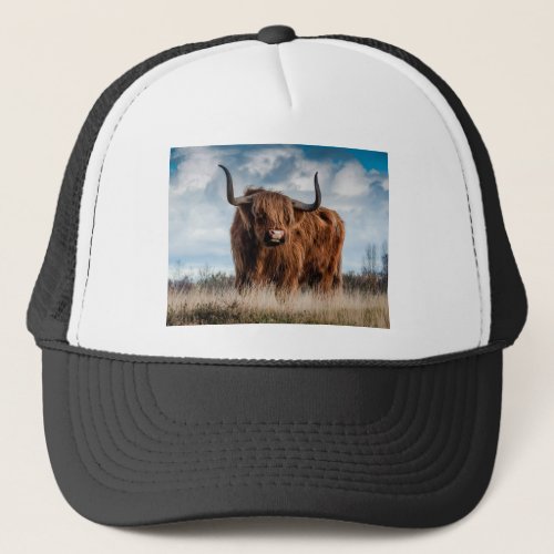 Highland Cow Trucker Hat