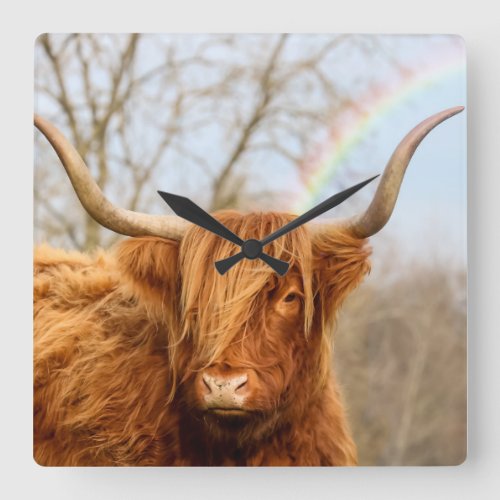 Highland cow wall clock