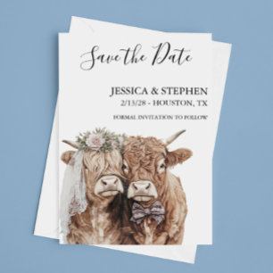 Highland Cow Wedding Watercolor Portraits Save The Date