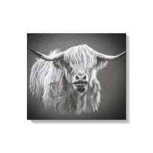 Highland Cow Wrapped Canvas Print