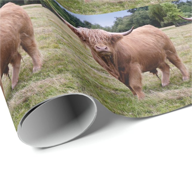 Highland Cow Wrapping Paper (Roll Corner)
