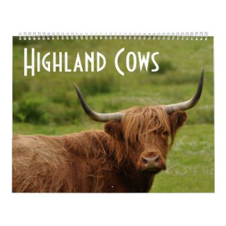 Highland Cows - 12 Months of Highland Cattle - Calendar