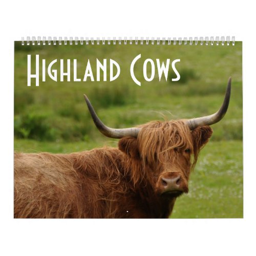 Highland Cows _ 12 Months of Highland Cattle _ Calendar