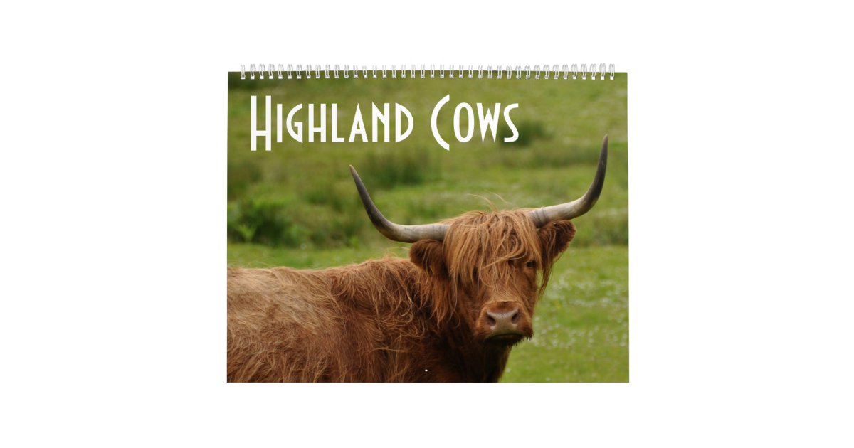 Highland Cows 12 Months of Highland Cattle Calendar